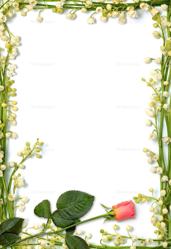 تصاویر پس زمینه